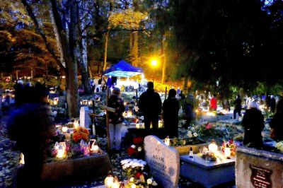 fot. Leszka Spigarskiego