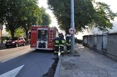 fot. A-TV Michał Puszczewicz