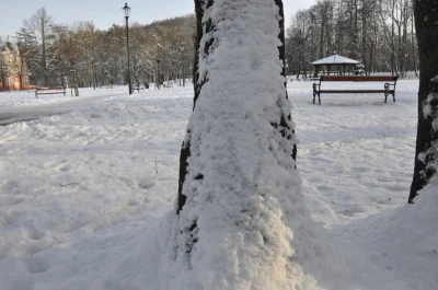 Zima w obiektywie