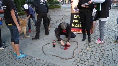 Wejherowo: Przykuli się łańcuchami do bud