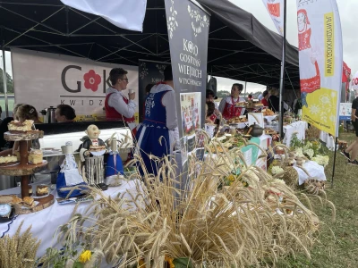 Festiwal KGW 