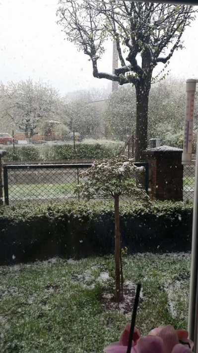 Zima wróciła na Pomorze fot. czytelnicy