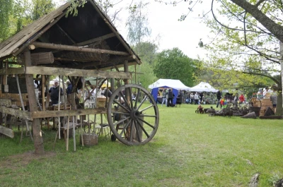 Świat ogrodów w gdyńskim Parku Kolibki