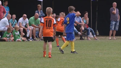 Baltic Football Cup 2013