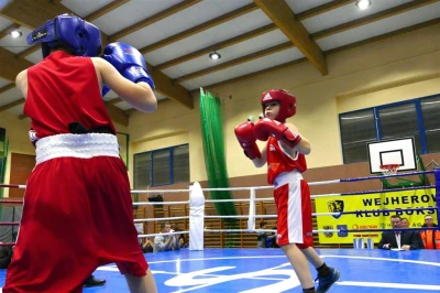 I Wejherowski Boxing Show 2017 - fot. Leszek Spigarski