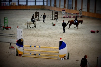Zawody Regionalne w Skokach przez przeszkody / fot. Żaneta Lange