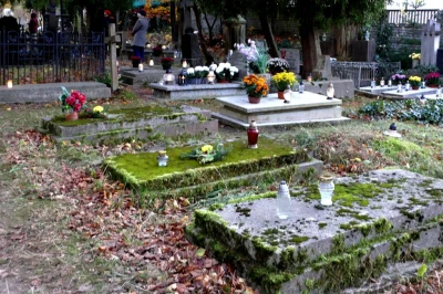 źródło: Leszek Spigarski