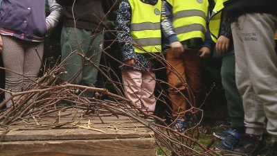 Jeżostrefy w Wejherowie - warsztaty dla dzieci