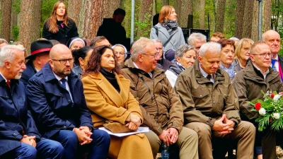 image17  ze zmianami.jpg