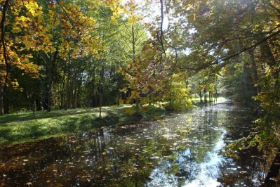 4.Bogumiła Walkowska-Guć - Wejherowo