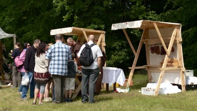 Bitwa pod Świecinem 2015