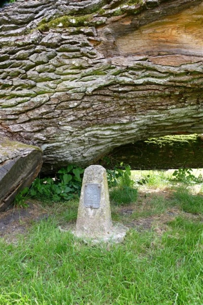Fot. Leszek Spigarski