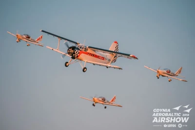 Gdynia Aerobaltic 2018 3.jpg