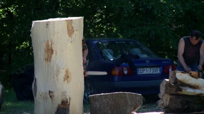 Plener rzeźbiarski w Sławutowie