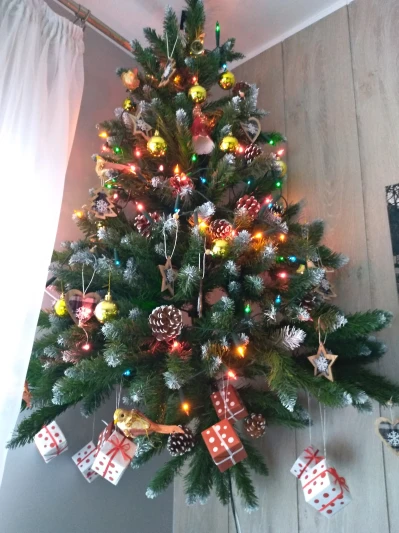 IMG_20201222_121829.jpg