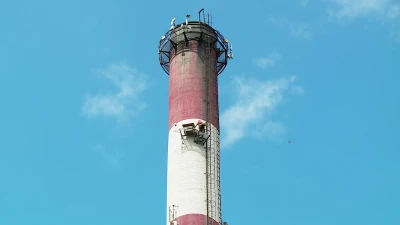 Obrączkowanie redzkich sokołów 