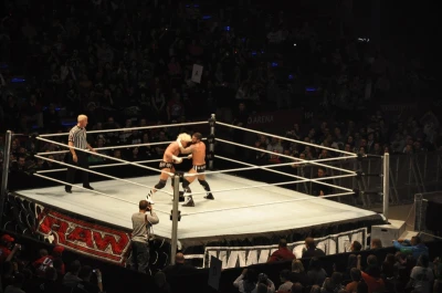 Wrestling - wszystkie chwyty dozwolone