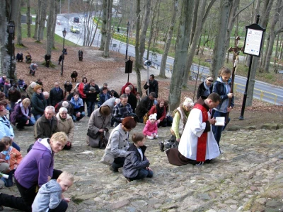 fot. Leszek Spigarski