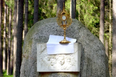 fot. Leszek Spigarski