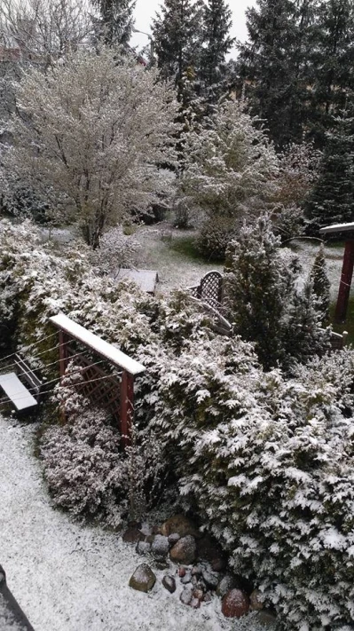 Zima wróciła na Pomorze fot. czytelnicy
