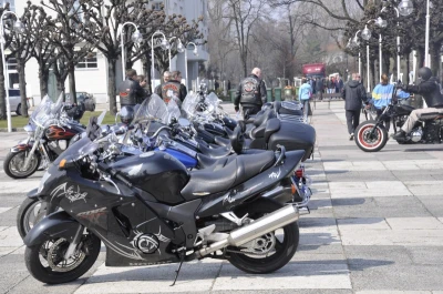 Motoserca w Sopocie