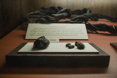 Miniatura