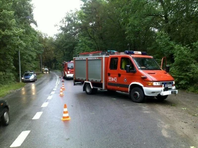 Wejherowo: Ciężarówka zatrzymała się na drzewach