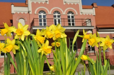 Wielkanocny Pałac foto. Anna Tarnowska