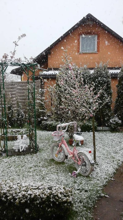 Zima wróciła na Pomorze fot. czytelnicy