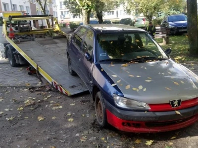 Miniatura