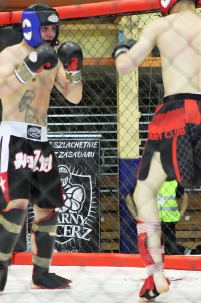 Puchar Polski Północnej Amatorskiego MMA w Gdyni