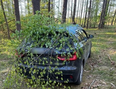 Przykrył samochód gałęziami i ukrył się na bagnach. Służby postawione na nogi