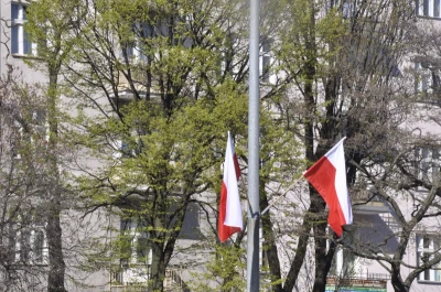 Flagi na Dzień Flagi