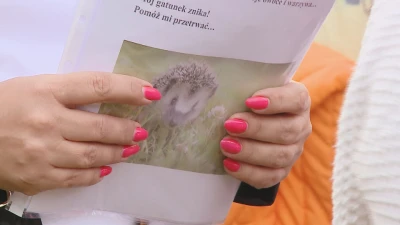 Jeżostrefy w Wejherowie - warsztaty dla dzieci