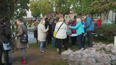 Wiosna pełna kolorów w Pucku