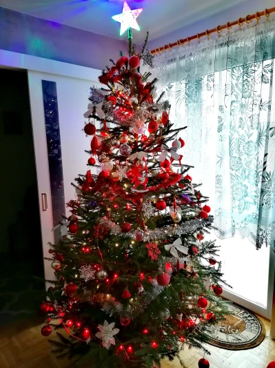 IMG_20201222_113708.jpg