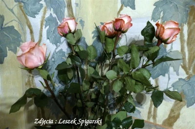 fot. Leszek Spigarski