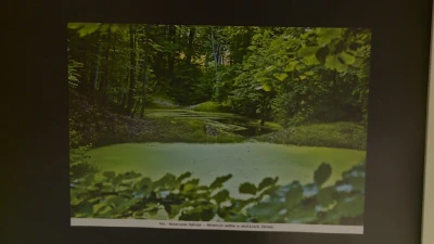 Fotografia Przyrodnicza - wernisaż