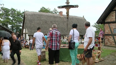Krancbal 2014