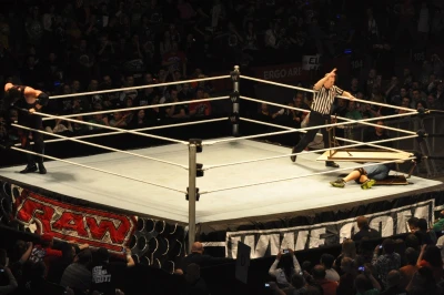 Wrestling - wszystkie chwyty dozwolone