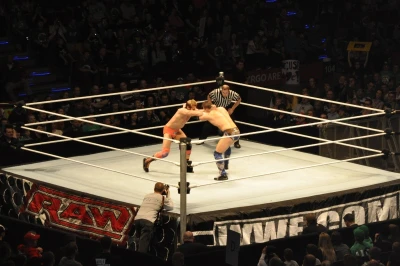 Wrestling - wszystkie chwyty dozwolone