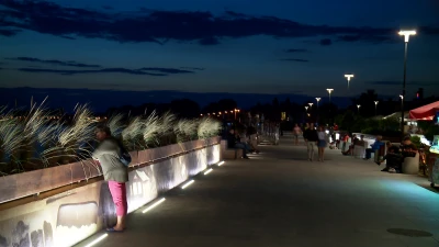 vlcsnap-2019-08-13-15h18m02s852.png