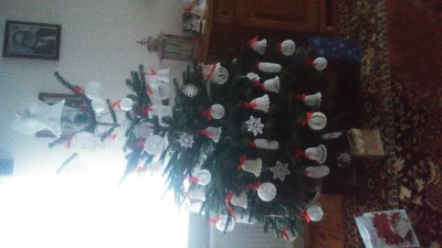 20201225_150146.jpg