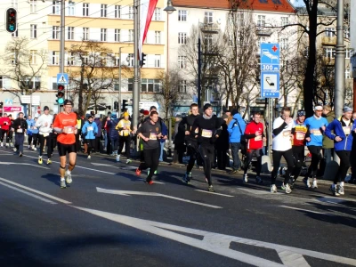 Bieg Urodzinowy Gdyni 2013