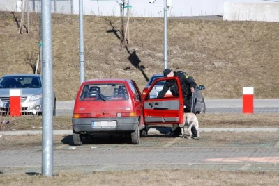 Ewakuacja w Ergo Arenie, ale tylko jako ćwiczenia
