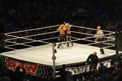 Wrestling - wszystkie chwyty dozwolone