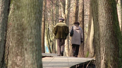 Park Majkowskiego, Wejherowo