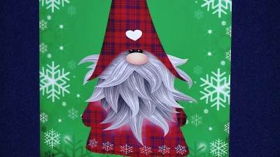 vlcsnap-2021-12-16-15h14m51s447.png