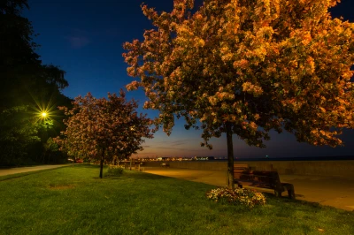 gdynia bulwar 1.jpg