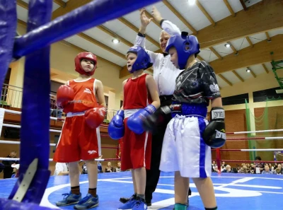I Wejherowski Boxing Show 2017 - fot. Leszek Spigarski